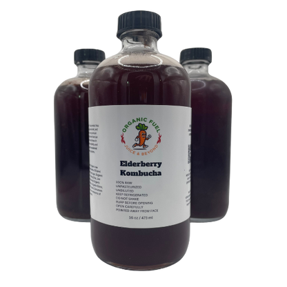Elderberry Kombucha