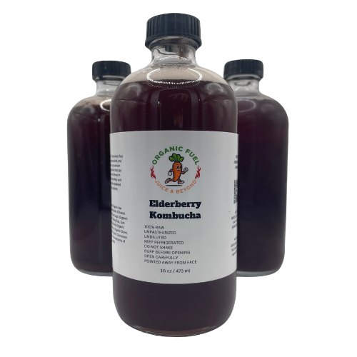 Elderberry Kombucha
